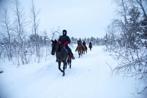 Discover Horseback Riding In The Arctic 