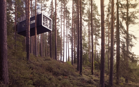 A Cabin In The Trees