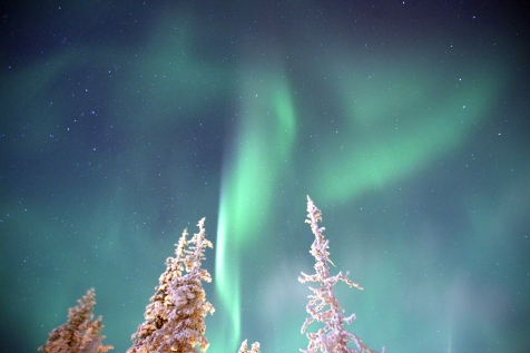 Witness The Northern Lights From Jarvi Lodge