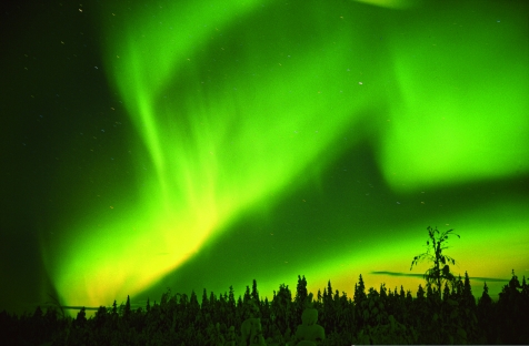 Arctic Sky Bursting With Northern Lights