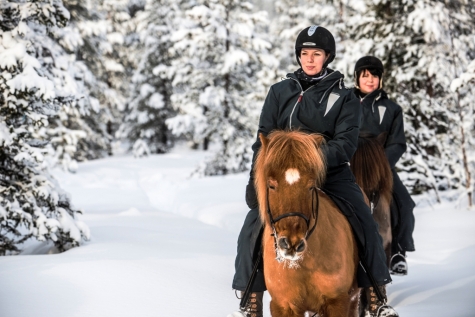 Ride Into The Arctic By Horseback 