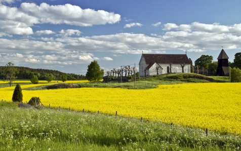 Colourful Field&#039;s Of Sweden 