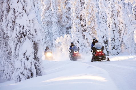 Snowmobile Through The Lapland Fells