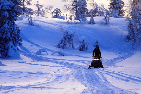 Explore The Snowy Landscape By Snowmobile