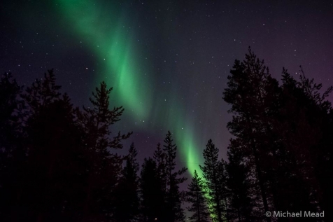 Experience The Northern Lights In Rovaniemi 