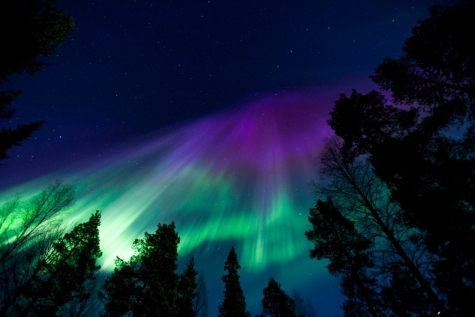 A Burst Of Aurora 