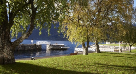 Enjoy A Room With A View 