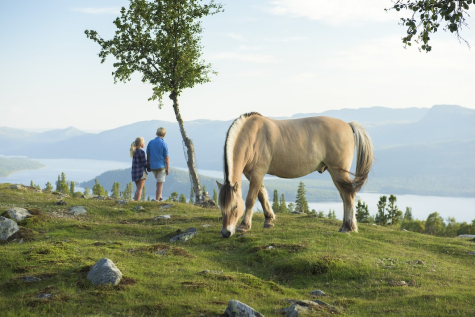 Book A Horse Ride Through Stunning Landscapes