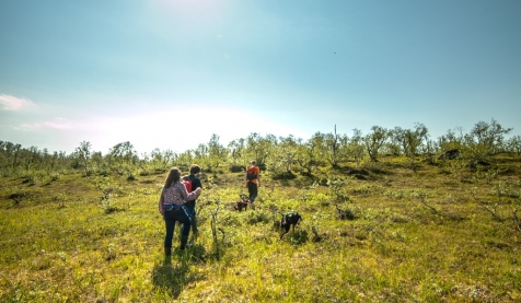 Take A Hike With The Huskies 
