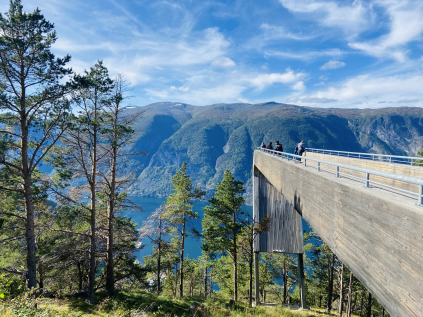 Visit the Famous Stegastein View Point