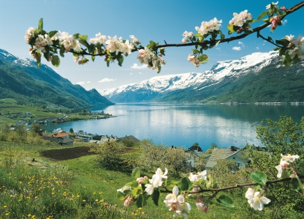 Hardangerfjord