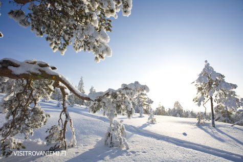 Rovaniemi In Winter
