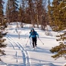 Cross Country Skiing Cross Country Skiing