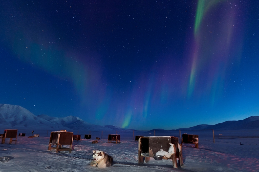 Northern Lights - Spitsbergen 